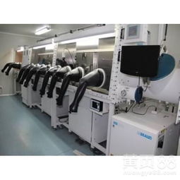 濰坊翻譯服務 專業、高效的語言橋梁