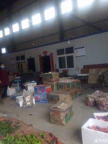 隨州白沙洲農副產品大市場采購紀實 批發數十斤新鮮蔬菜與農副產品的實用指南